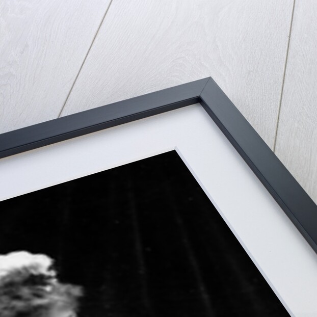 Sarah Bernhardt by Anonymous