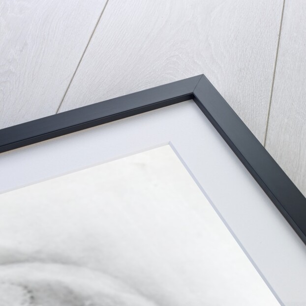 Sarah Bernhardt as 'Phedre' by Jean Racine by (1820-1910) Nadar