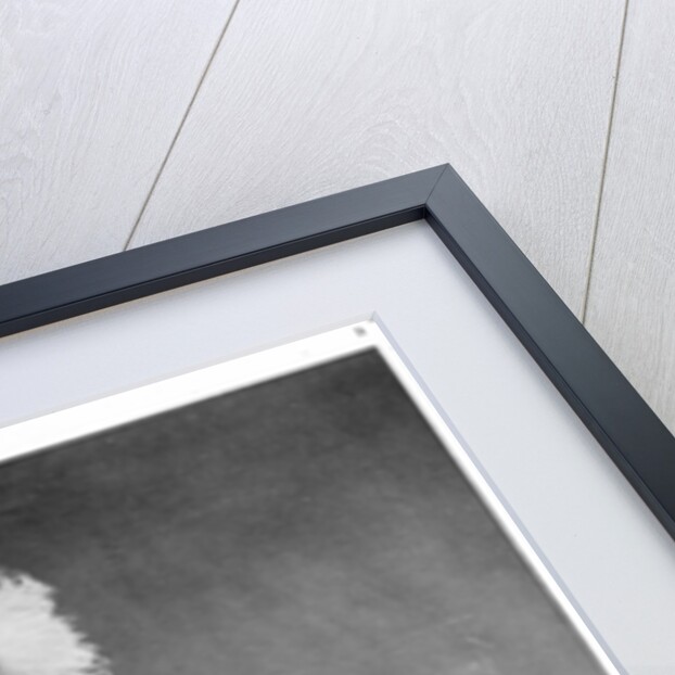 Gaby Deslys by Unknown photographer