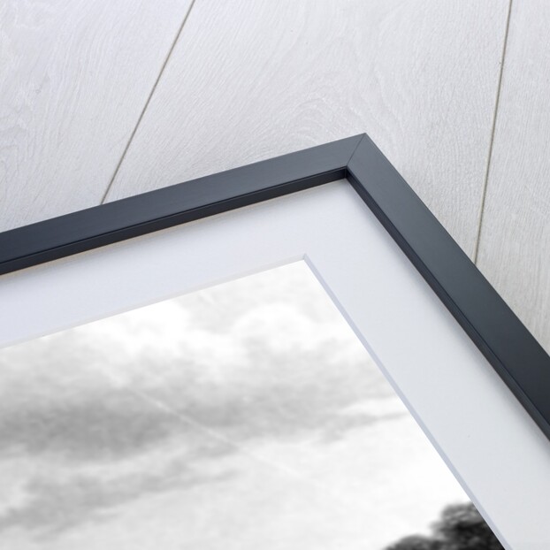 Newcastle from Askew's Wood, engraved by Edward Francis, 1829 by William (after) Westall