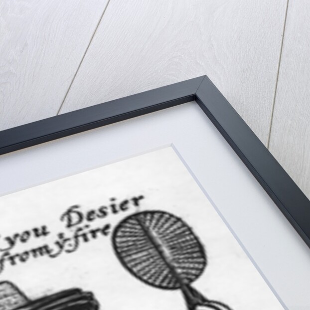 I have screenes if you desier to keepe your buty from the fire by English School