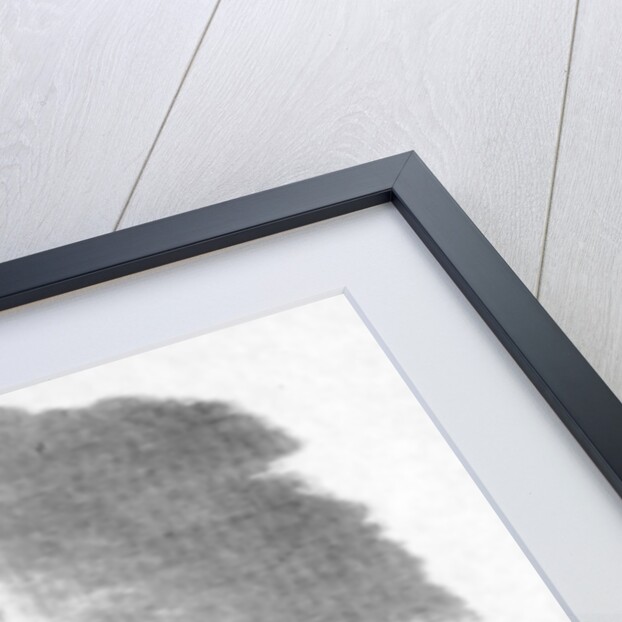 Glasgow Lunatic Asylum, c.1830 by Scottish School