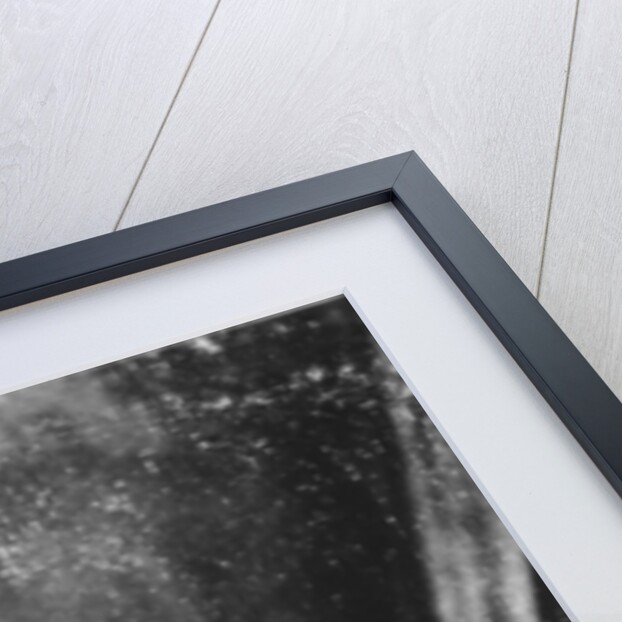 Carte de Visite of Miss Lardy Wilson, c.1870s by English Photographer