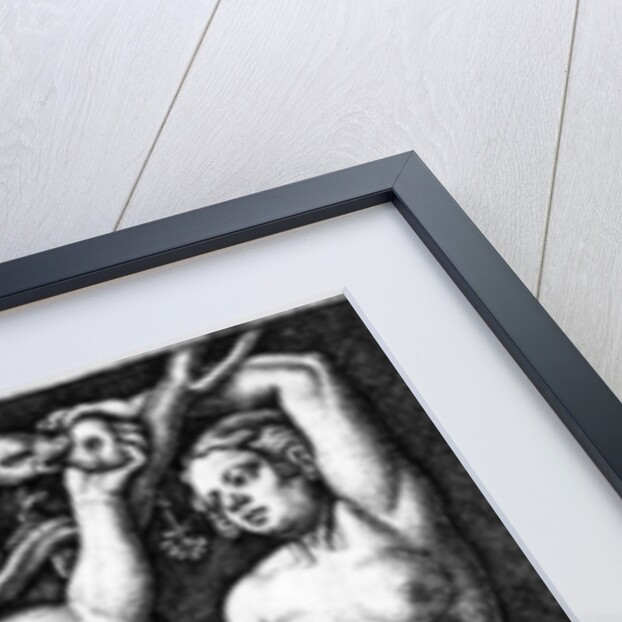 Adam and Eve by Barthel Beham