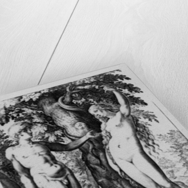 Adam and Eve by Bartholomaeus Spranger