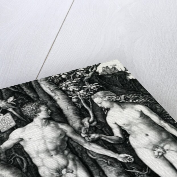 Adam and Eve, 1504 by Albrecht Dürer or Duerer