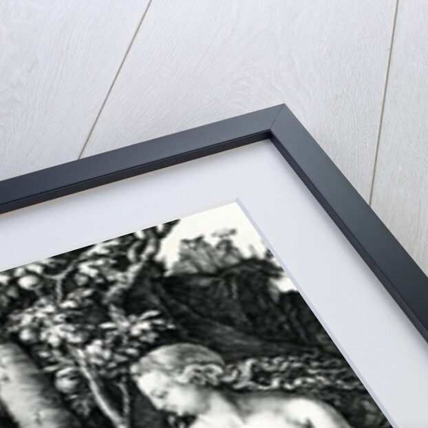 Adam and Eve, 1504 by Albrecht Dürer or Duerer