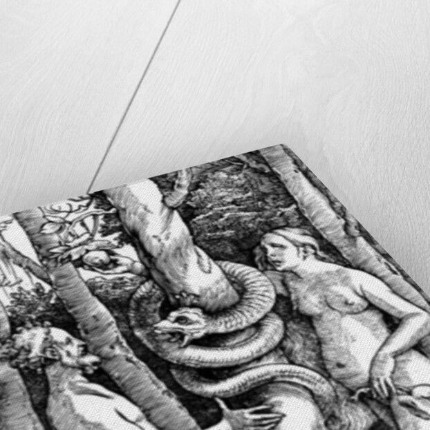 The Fall of Man, c.1514 by Hans Baldung Grien