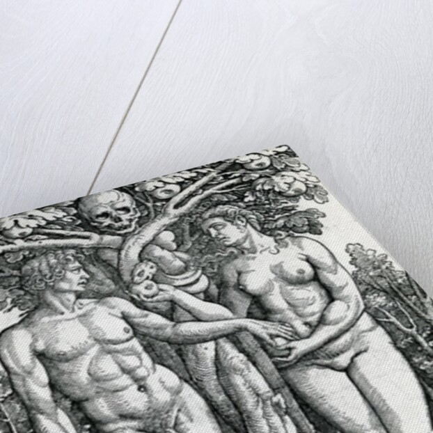 The Fall of Adam and Eve, c.1525-27 by Hans Sebald Beham