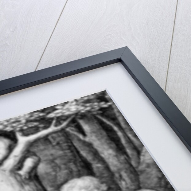 Adam and Eve, c.1506 by Lucas van Leyden