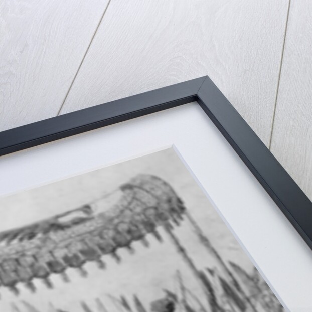 The Entry of Pope Clement VII and Emperor Charles V into Bologna on 24 February 1530 by Nicholas Hogenberg