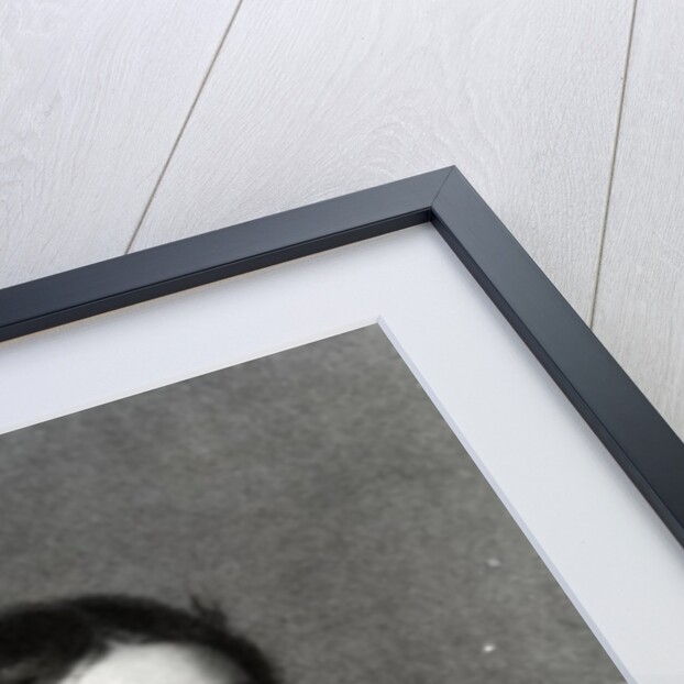 William Penn aged Twenty Two, print made by S. A. Schoff, 1862 by English School