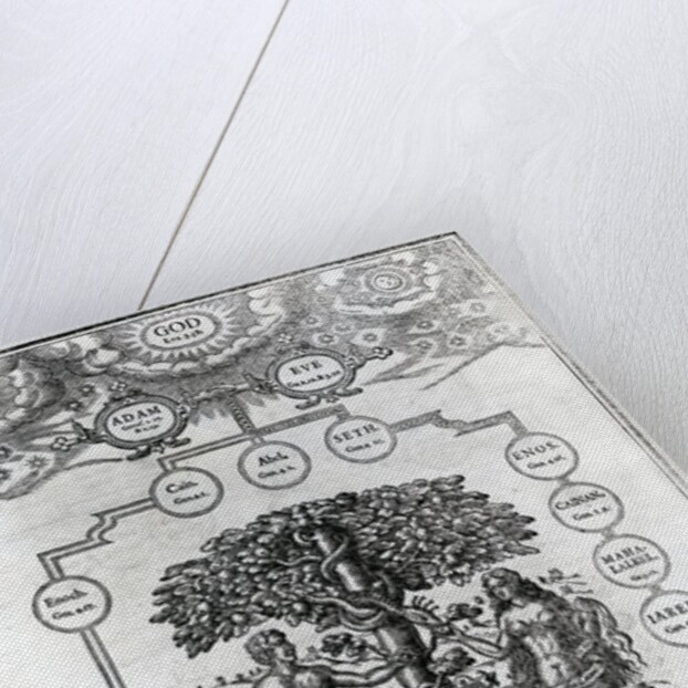 Adam and Eve's Family Tree, 1556 by English School