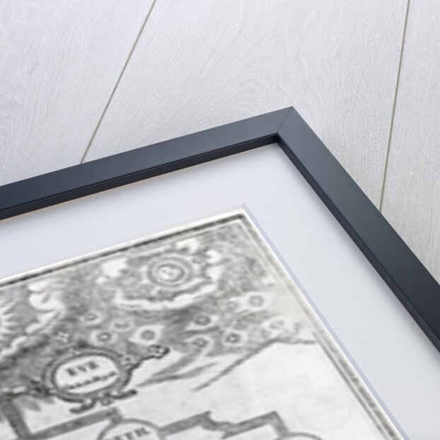 Adam and Eve's Family Tree, 1556 by English School