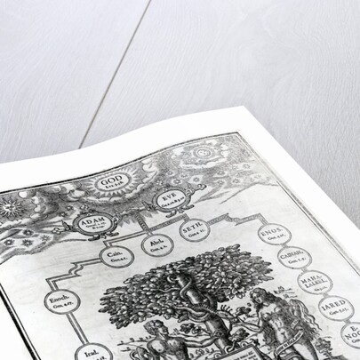 Adam and Eve's Family Tree, 1556 by English School