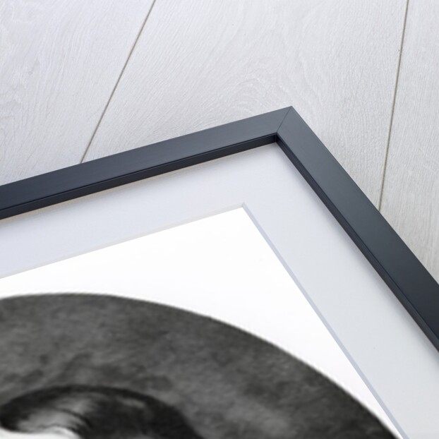 Sir William Penn by Francis Place