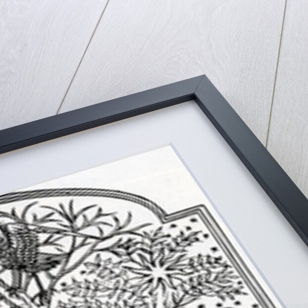 The Oracular trees of the Sun and the Moon by French School