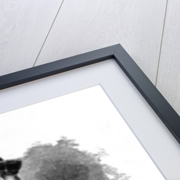 The London Scavenger by English School