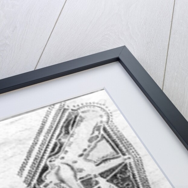 A Plan of the House and Gardens at Stowe, Buckinghamshire by Johann Sebastien Muller