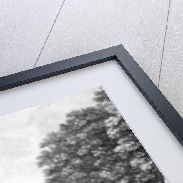 Cliveden House near Maidenhead Bridge in the County of Bucks, 1753 by John Donowell