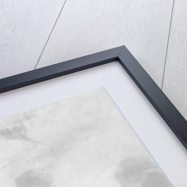 Flight of Bonaparte from the Field of Waterloo accompanied by his Guide, 1816 by George Cruikshank