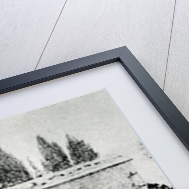 Mozart's coffin followed by a dog, c.1791 by Anonymous Anonymous