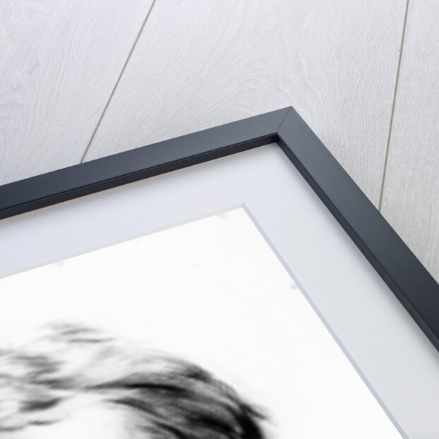 Sir William Heathcote by George Richmond