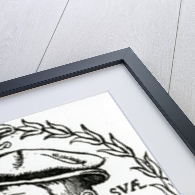 Thomas Hill, c.1571 by English School