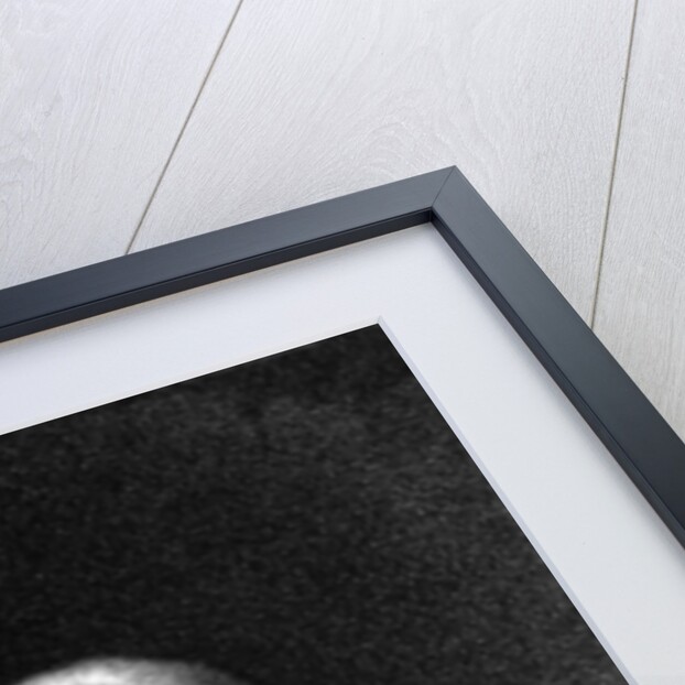 Sir John Stuart by William Wood