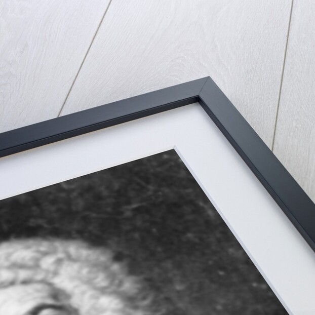 John James Heidegger, engraved by John Faber, 1749 by Jean-Baptiste van Loo