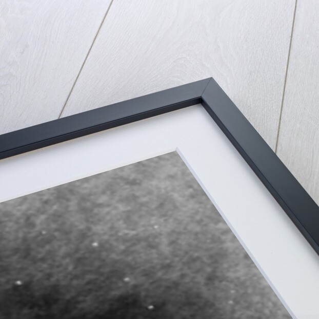 Illustration from Edgar Allan Poe's 'The Raven', 1882 by Gustave Dore