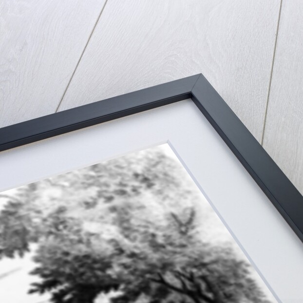 Taking Say of ye Stagg by English School