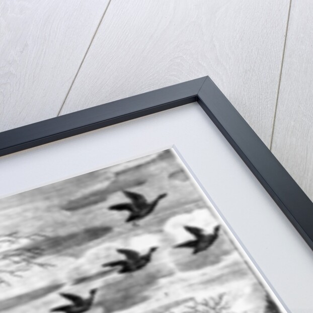 Stalking by English School