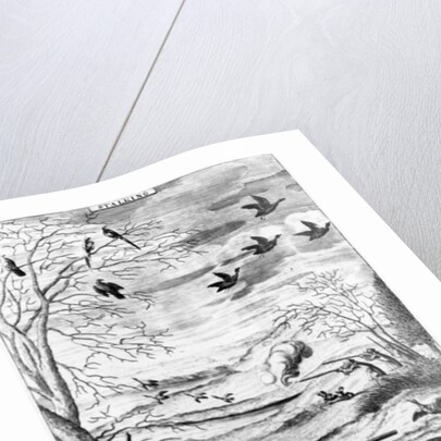 Stalking by English School