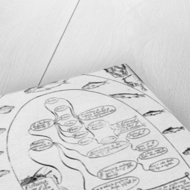 A guide to fishing and angling by English School