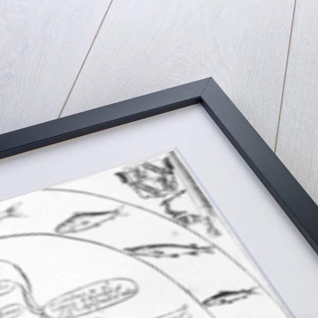 A guide to fishing and angling by English School