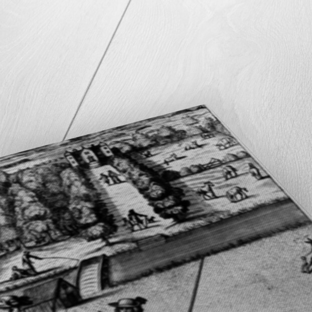 Coursing with Greyhounds by English School