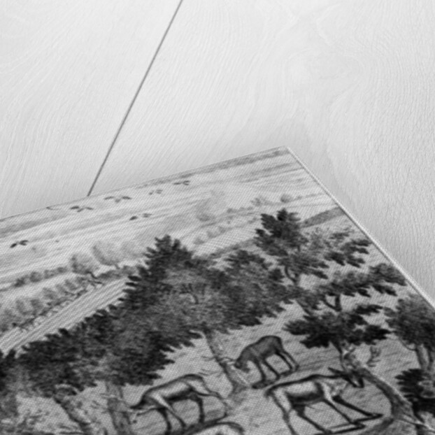 The deer fraying their heads by English School