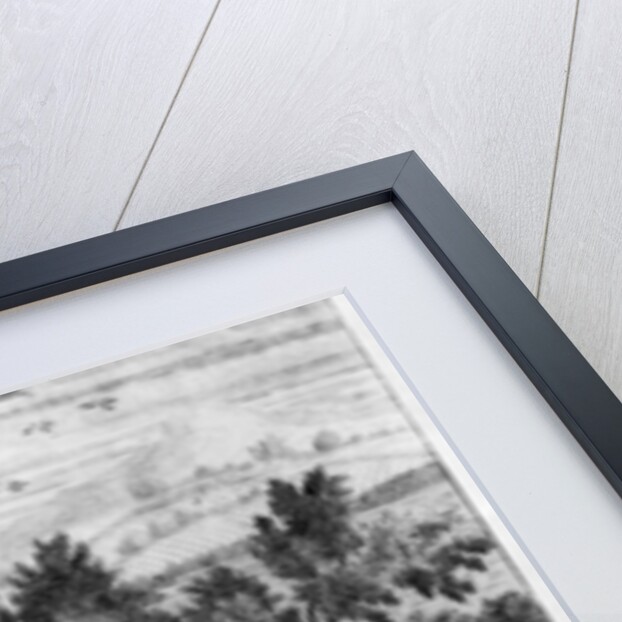 The deer fraying their heads by English School