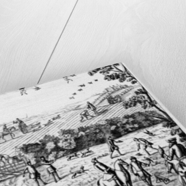 Partridge Hawking by English School