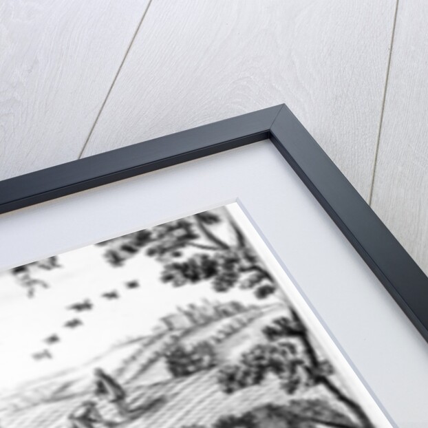 Partridge Hawking by English School