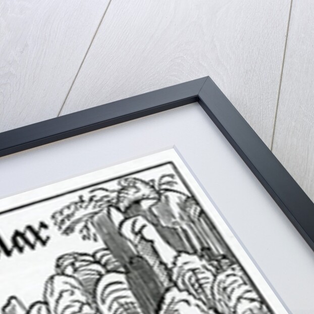 Of old folys that is to say the longer they lyue the more they ar gyuen to foly by (after) German School