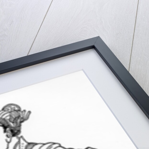 Batu Khan, Mongol ruler, 1871 by Anonymous