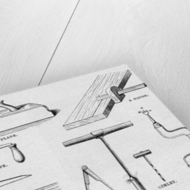 Carpenter's Tools by English School