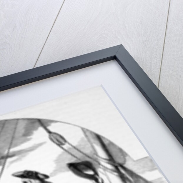 Landing of the Chevalier de St. George in Scotland by English School