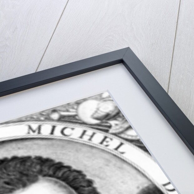 Michel de Castelnau, Seigneur de Mauvissière by French School