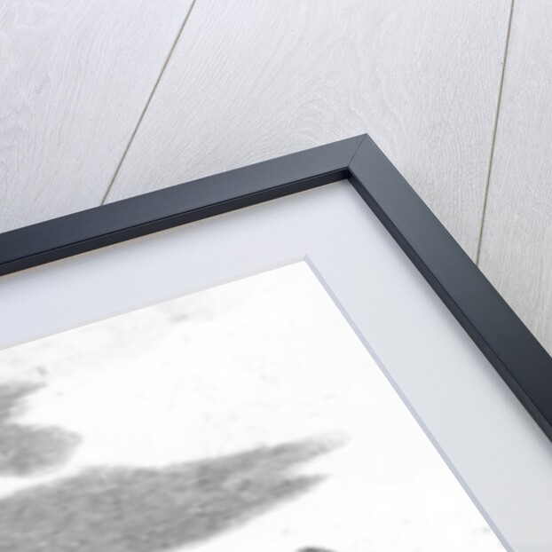 William Stroud, 'A Man whipped at the Cart's Tail for petit Larcenry from Charing Cross to the Horse Guards', engraved for the Tyburn Chronicle by (after) English School