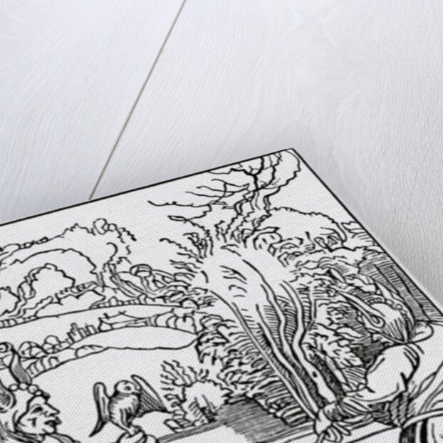 Of hym that wyll nat folowe nor ensue good counsell, and necessary by from an edition published in 1874