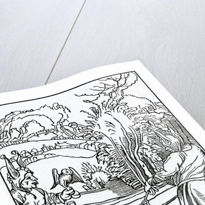 Of hym that wyll nat folowe nor ensue good counsell, and necessary by from an edition published in 1874