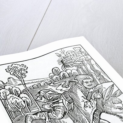 Of folys without prouysyon by (after) German School